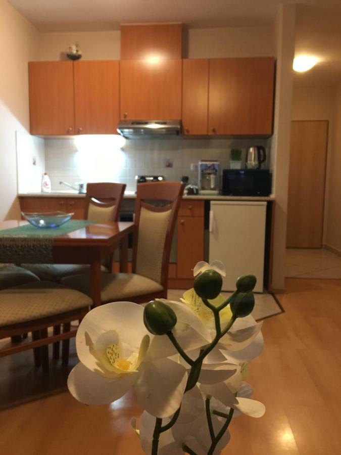 Orchidea Apartman Hegyko Exterior photo